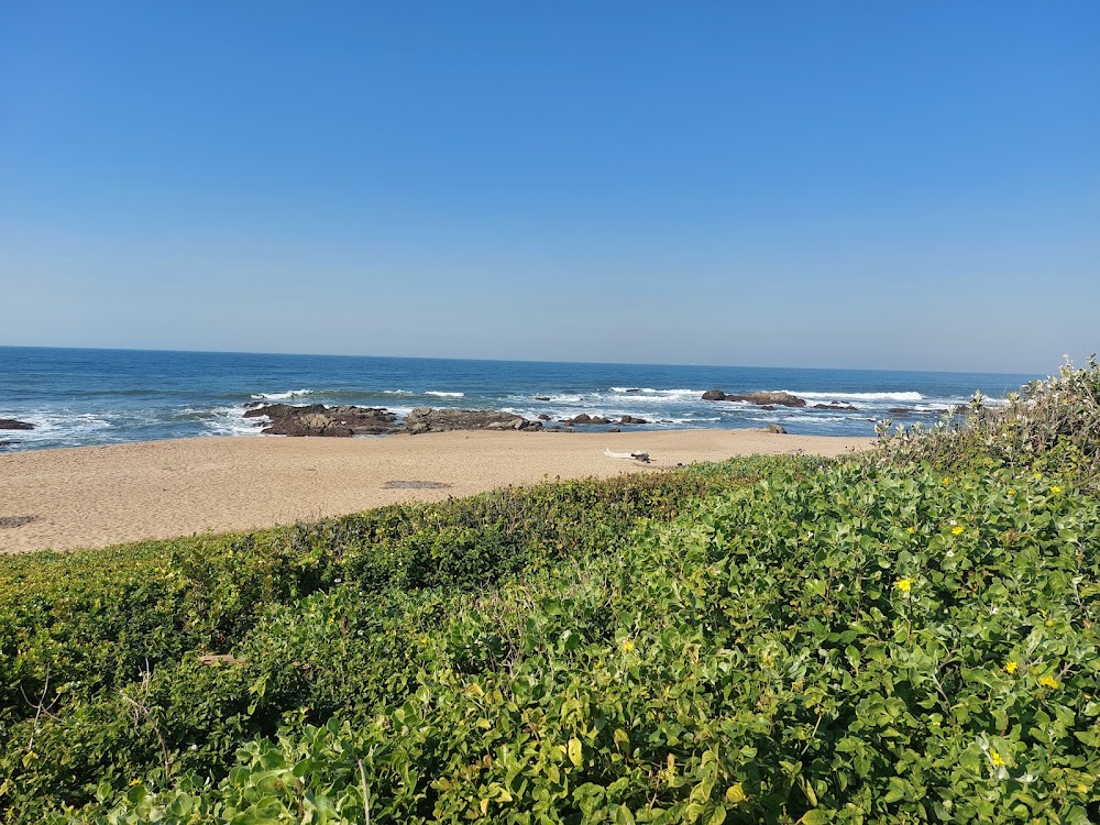 Orca's Beach Bar & Grill Photo 04